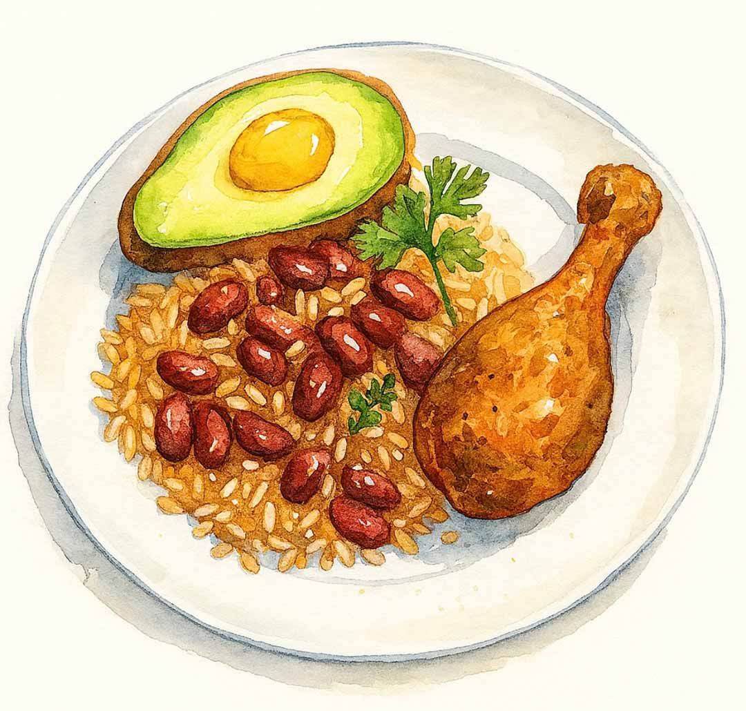 Painting of rice and beans with chicken leg and avocado on a white plate with parsley garnish.