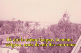 Old blurry photograph of palm trees.