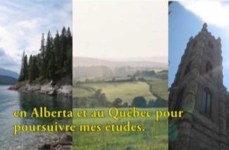 A collage of images showing green forests and grassy landscapes.