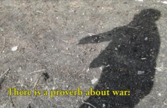 A man's shadow can be seen on the ground.