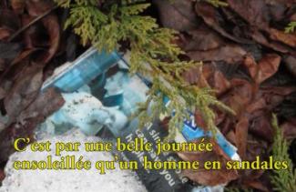 Branches and leaves are placed around some text.