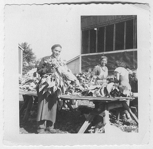A man is standing in front of a stall that sells tobacco leaves.